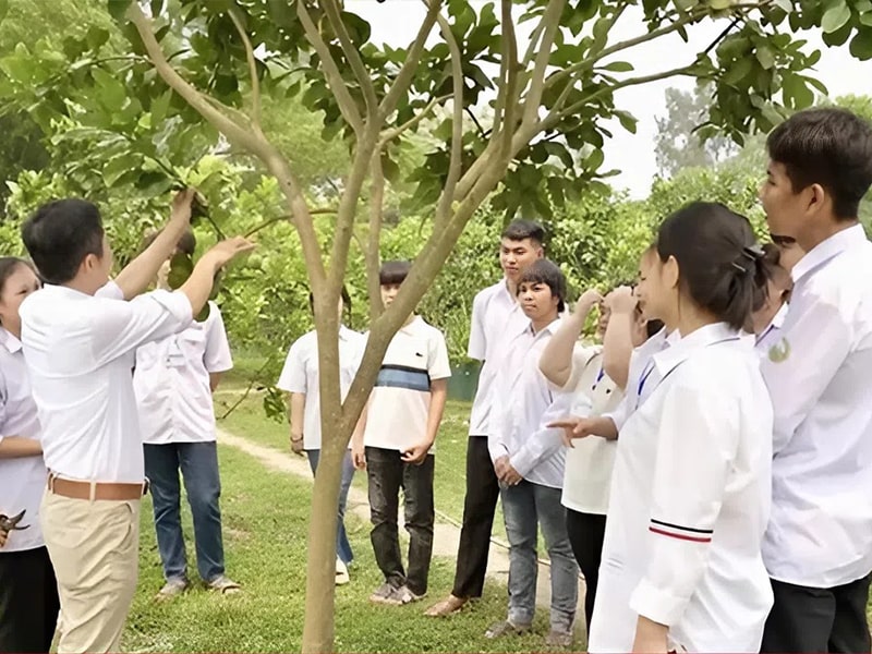 Nghề Bảo Vệ Thực Vật Có Nên Học? Học Ở Đâu Uy Tín? 9