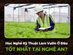 Có Nên Học Nghề Làm Vườn? Học Ở Đâu Uy Tín Tại Nghệ An? 1 có nên học nghề làm vườn