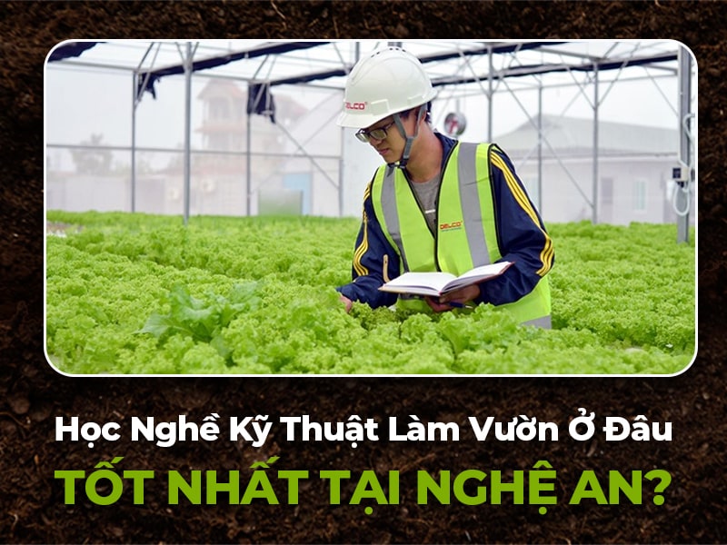có nên học nghề làm vườn