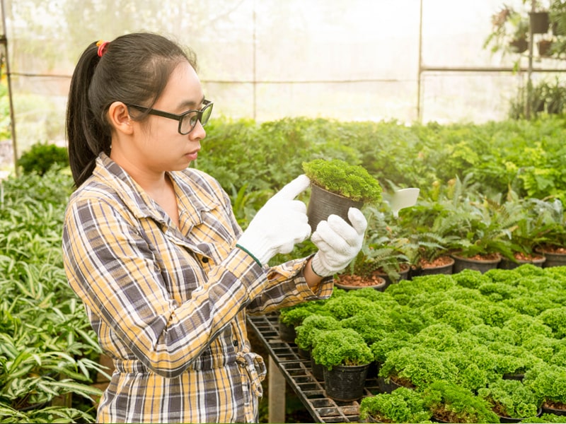 Có Nên Học Nghề Làm Vườn? Học Ở Đâu Uy Tín Tại Nghệ An? 5