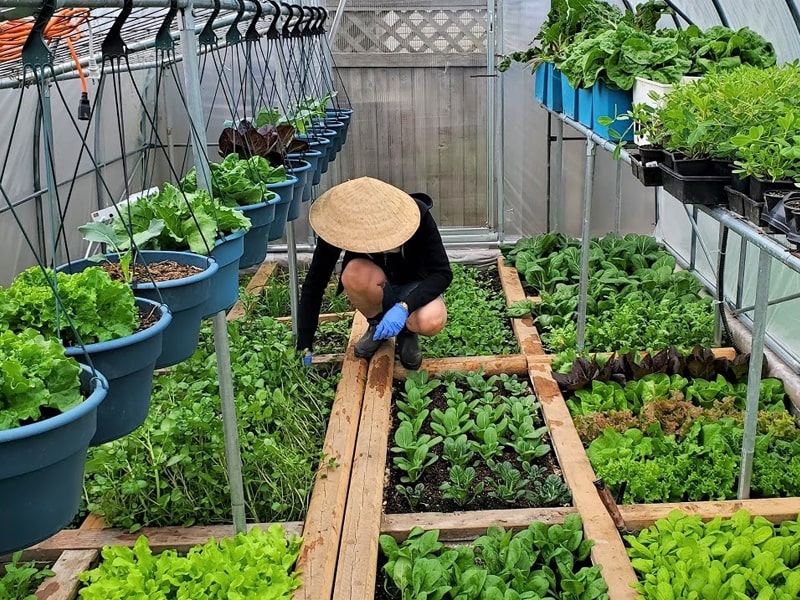 Trường Nào Dạy Nghề Kỹ Thuật Làm Vườn Uy Tín Ở Nghệ An 12