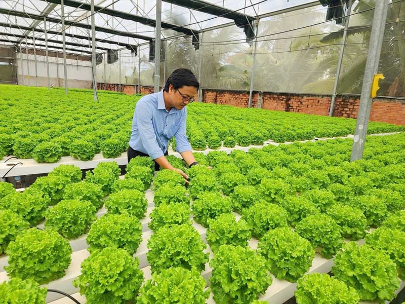 Trường Nào Dạy Nghề Kỹ Thuật Làm Vườn Uy Tín Ở Nghệ An 13