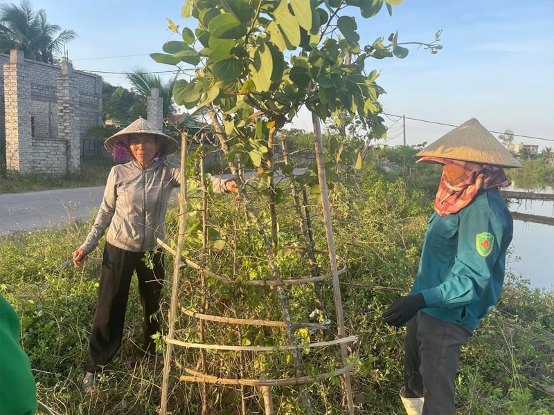 Trường Nào Dạy Nghề Kỹ Thuật Làm Vườn Uy Tín Ở Nghệ An 15