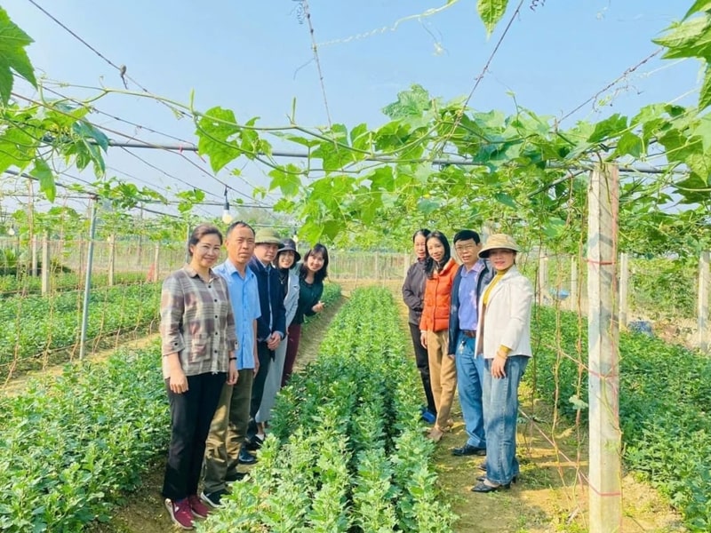 Trường Nào Dạy Nghề Kỹ Thuật Làm Vườn Uy Tín Ở Nghệ An 14